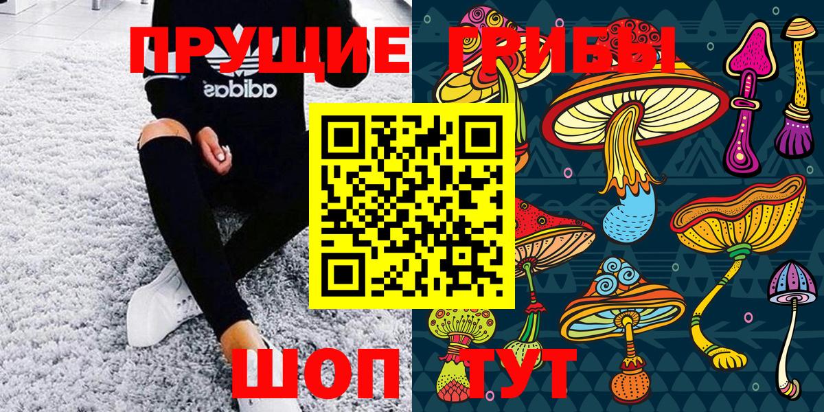 Галлюциногенные грибы Psilocybine cubensis Ноябрьск