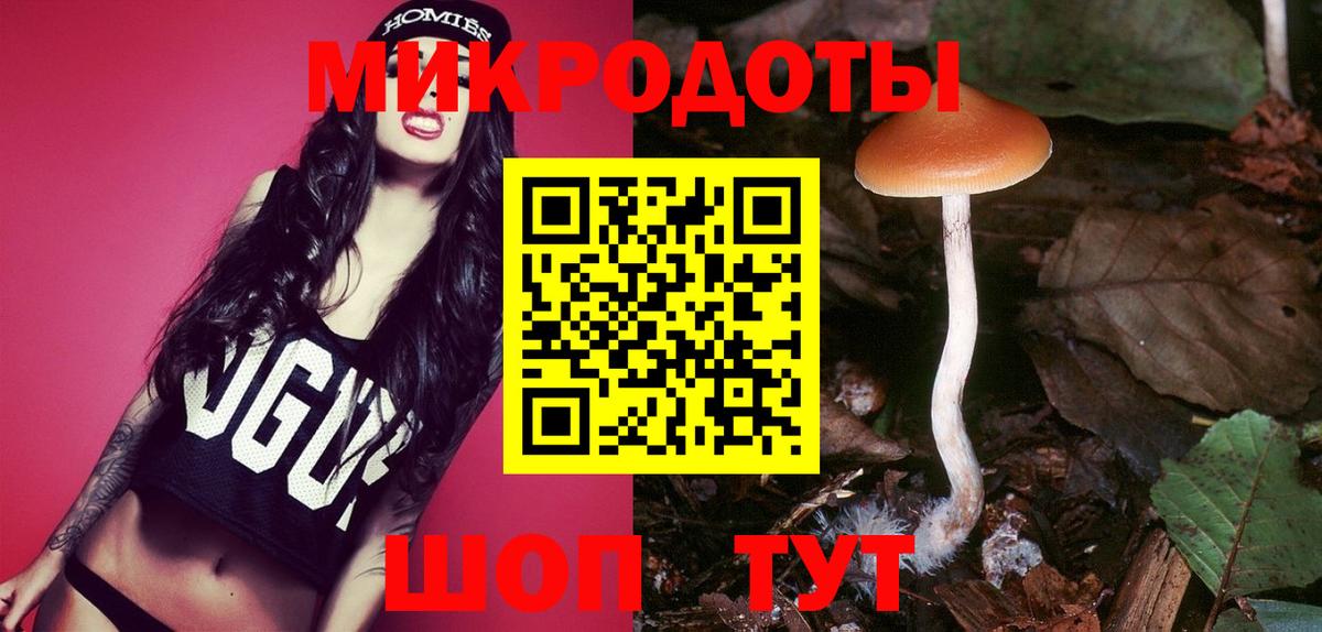 Ноябрьск  дарнет шоп  Вход с VPN  Псилоцибиновые грибы мухоморы 
